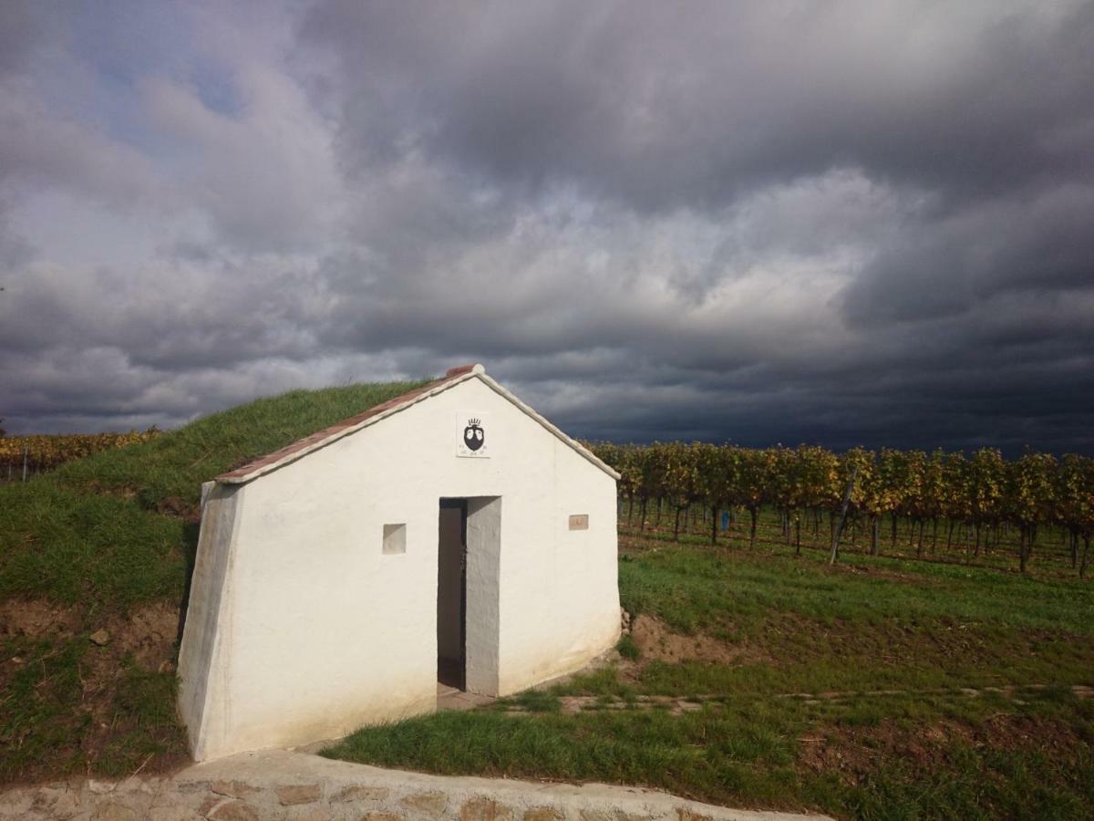 Weingut Wagner Daire Leodagger Dış mekan fotoğraf